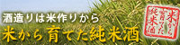�Ƥ����Ƥ����Ƽ�