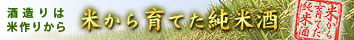 �Ƥ����Ƥ����Ƽ�