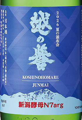新潟酵母N7arg