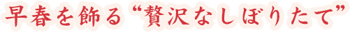 դ롢ʤܤꤿ