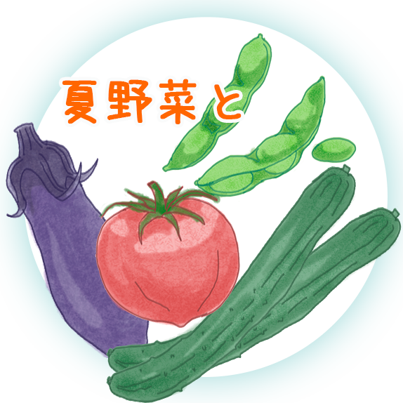 夏野菜と