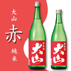 绳ֽ