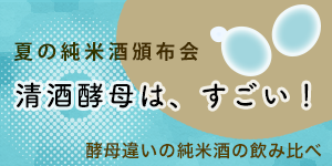 ʤĤΤϤפ夳ܤϡ