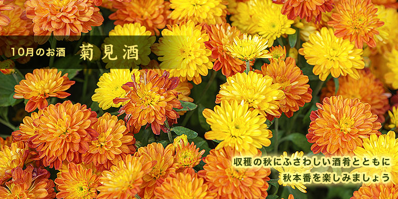10月のお酒　菊見酒